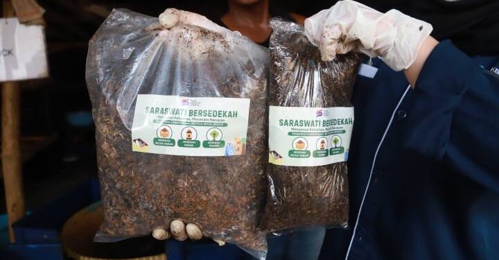 Pasar Saraswati Ciledug Jadi Pelopor Pasar Hijau: Olah 3 Ton Sampah Jadi Emas Hijau Lewat Budidaya Maggot!
