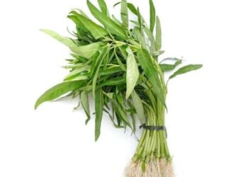Sayur Kaya Zat Besi, Pilihan Tepat Atasi Anemia Secara Alami