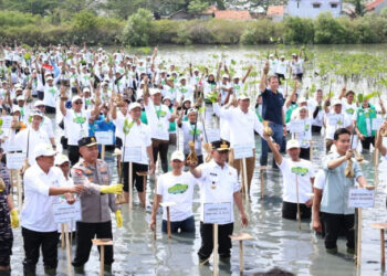 Wapres Gibran Tanam Mangrove di Ketapang, Pesisir Tangerang Jadi Bukti Nyata Kolaborasi Lingkungan dan Ekonomi Rakyat
