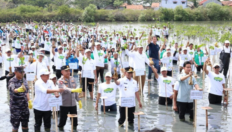 Wapres Gibran Tanam Mangrove di Ketapang, Pesisir Tangerang Jadi Bukti Nyata Kolaborasi Lingkungan dan Ekonomi Rakyat