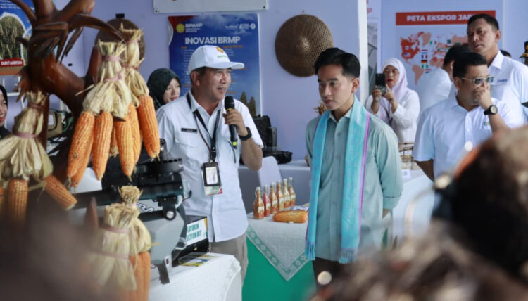 Wapres Gibran Tanam Jagung di Tangerang, Dorong Inovasi Pertanian Modern: “Petani Jangan Sampai Merasa Ditinggalkan”