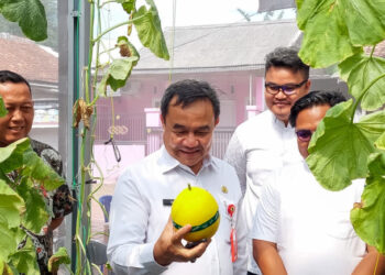 PANEN MELON MILENIAL: Saat Anak Muda Tangerang Tunjukkan Pertanian Bisa Keren dan Menguntungkan