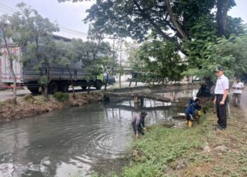 Antisipasi Musim Hujan, Kecamatan Benda Normalisasi Drainase dan Anak Sungai Cisadane