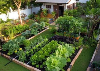 Berkebun di Rumah, Aktivitas Santai Penuh Manfaat untuk Tubuh dan Pikiran