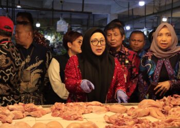 Wabup Tangerang dan BPOM Tinjau Harga dan Keamanan Sembako di Pasar Gudang Tigaraksa