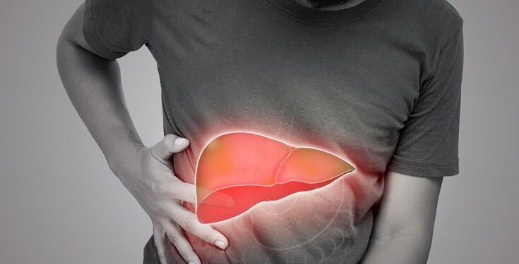 Liver Capek Karena Pola Makan Buruk? Ini Cara Mengembalikannya ke Kondisi Sehat