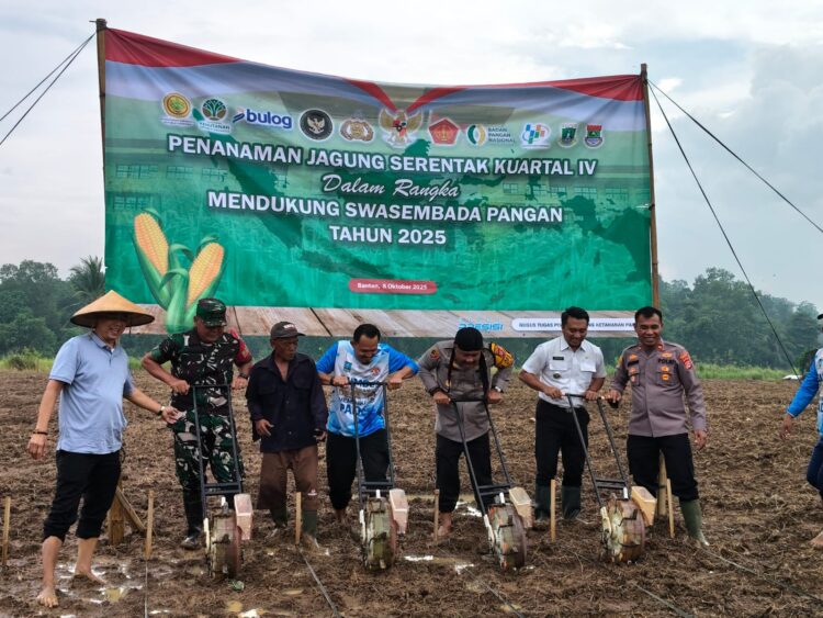 Kapolres Serang Lanjutkan Program Ketahanan Pangan dengan Tanam Jagung di Rancasumur