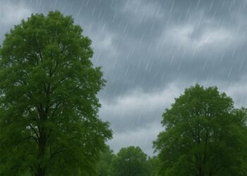 Sebagian Besar Wilayah Banten Diguyur Hujan Ringan, BMKG Imbau Warga Waspada Perubahan Cuaca