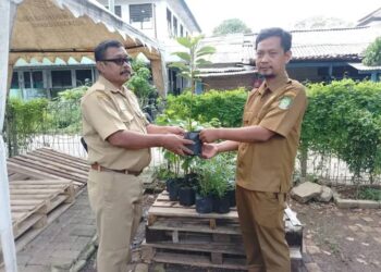 DLH Kota Tangerang Dorong Sekolah Hijau, Sediakan Bibit Pohon Gratis Lewat Fitur “Bank Pohon” di Super Apps Tangerang LIVE