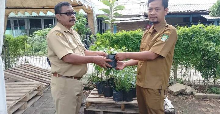 DLH Kota Tangerang Dorong Sekolah Hijau, Sediakan Bibit Pohon Gratis Lewat Fitur “Bank Pohon” di Super Apps Tangerang LIVE