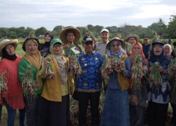Panen Raya Bawang Merah dan Melon di Kota Tangerang: Bukti Pertanian Perkotaan Mampu Tekan Inflasi dan Perkuat Ketahanan Pangan