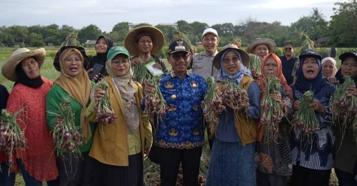 Panen Raya Bawang Merah dan Melon di Kota Tangerang: Bukti Pertanian Perkotaan Mampu Tekan Inflasi dan Perkuat Ketahanan Pangan