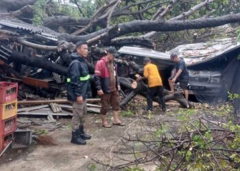 Hujan Deras Sejak Pagi Picu Genangan dan Pohon Tumbang di Kota Tangerang: BPBD Bergerak Cepat Tangani Darurat Cuaca Ekstrem