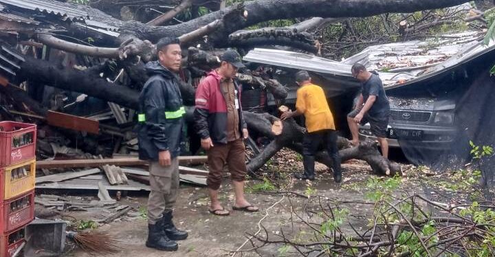 Hujan Deras Sejak Pagi Picu Genangan dan Pohon Tumbang di Kota Tangerang: BPBD Bergerak Cepat Tangani Darurat Cuaca Ekstrem