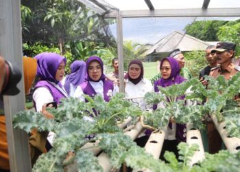 Posyandu Mawar 03 Jadi Sorotan Lagi! Inovasi Layanan Terpadu Jadi Perhatian Tim Pembina Provinsi Banten