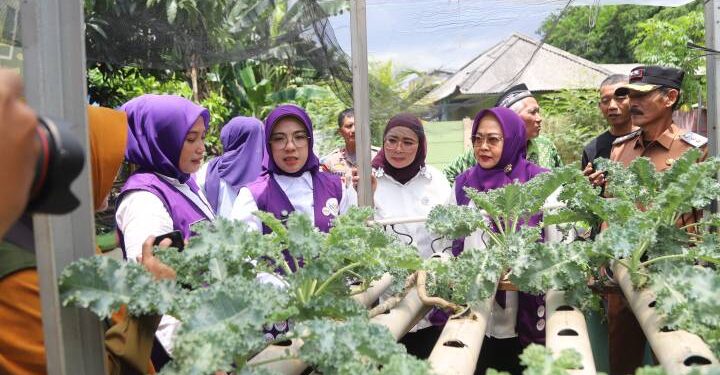 Posyandu Mawar 03 Jadi Sorotan Lagi! Inovasi Layanan Terpadu Jadi Perhatian Tim Pembina Provinsi Banten