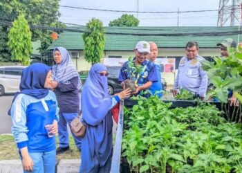 DKP Kota Tangerang Bagikan 300 Bibit Gratis, Ajak Warga Jadi “Petani Kota” di Tengah Perkotaan