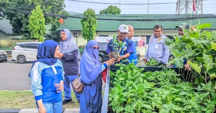 DKP Kota Tangerang Bagikan 300 Bibit Gratis, Ajak Warga Jadi “Petani Kota” di Tengah Perkotaan