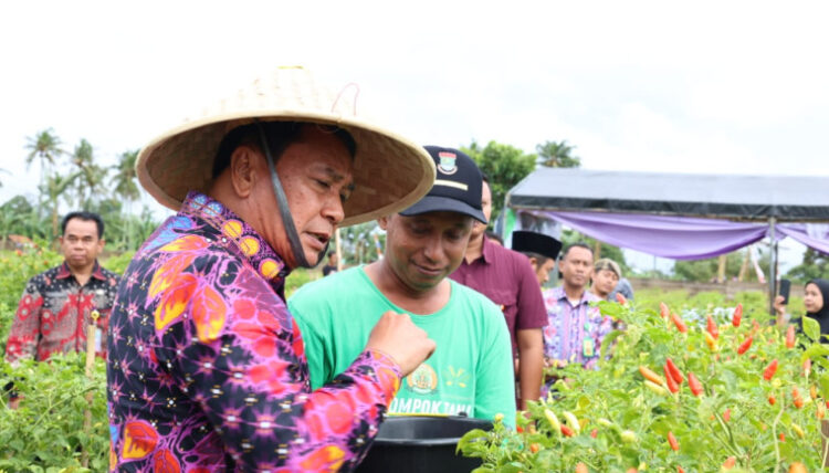 Panen Raya Cabai Setan di Legok Bikin Heboh: Produktivitas Tinggi, Pendapatan Petani Tembus Jutaan Rupiah per Bulan