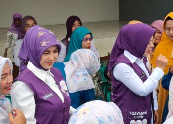 Ketua TP Posyandu Kota Serang Tegaskan Komitmen Perkuat Peran Posyandu sebagai Pusat Pelayanan Masyarakat