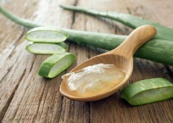 Tak Hanya untuk Rambut, Ini Deretan Manfaat Lidah Buaya bagi Kesehatan dan Kecantikan
