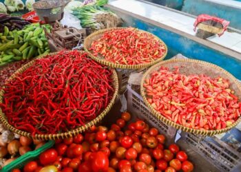 Pemkot Tangerang Pantau Harga Pangan Jelang Nataru, Cabai Merah Turun Harga
