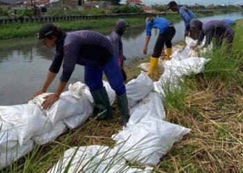 Intip Rahasia Pembinaan UMKM, Dekranasda Pandeglang Studi Tiru ke Kabupaten Tangerang
