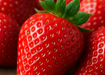 Rasa Manis, Segudang Manfaat: Stroberi Jadi Primadona Baru untuk Kesehatan Tubuh