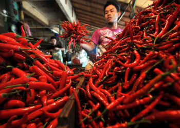 Tahun Baru 2026 Tanpa Petasan, Wali Kota Serang Tegas: Ada Kejutan di Royal Baroe