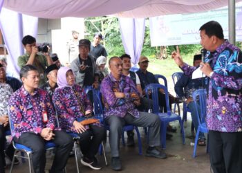 Panen Perdana Melon Hidroponik di Curug, Bupati Tangerang: Dua Bulan Tanam, Hasilkan Jutaan Rupiah
