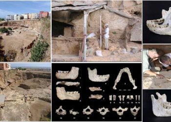 Fosil Pertama dari Periode Evolusi Manusia Ditemukan di Maroko