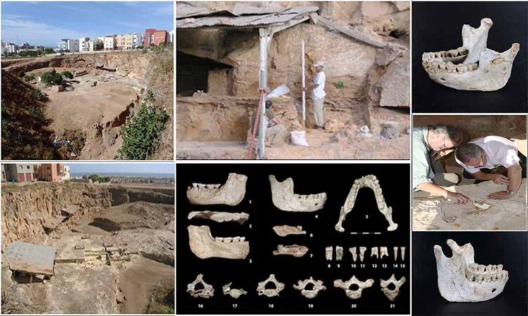 Fosil Pertama dari Periode Evolusi Manusia Ditemukan di Maroko