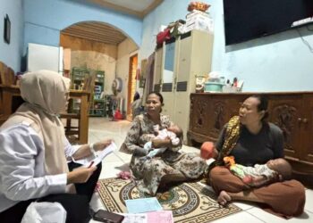 Pemkot Tangerang Catat 15 Klaim Asuransi Pohon Tumbang di 2025