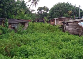 Pemkot Serang Akan Bongkar Bangunan Liar di Sungai Cibanten