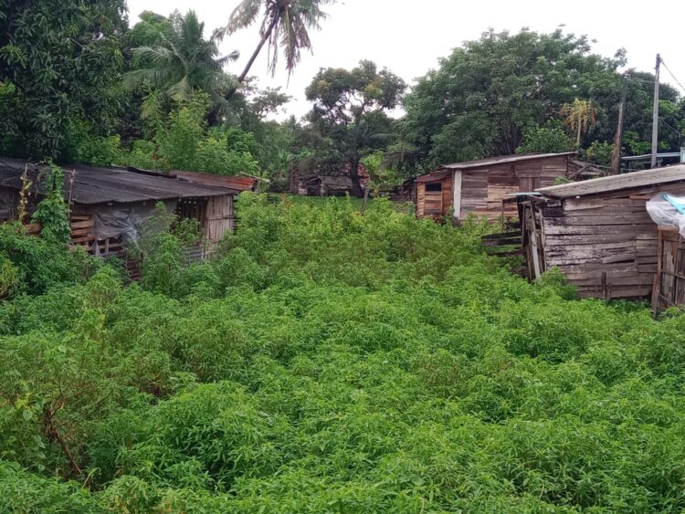 Pemkot Serang Akan Bongkar Bangunan Liar di Sungai Cibanten