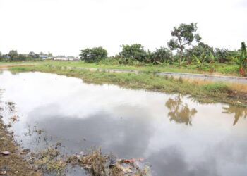 Pohon Tumbang di Jalan Gatot Subroto, Satgas Jatiuwung Bergerak Cepat Amankan Akses Jalan