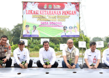 Deretan Penghargaan Nasional Diraih, Pemkot Tangerang Tancap Gas Perkuat SDM ASN Sepanjang 2025