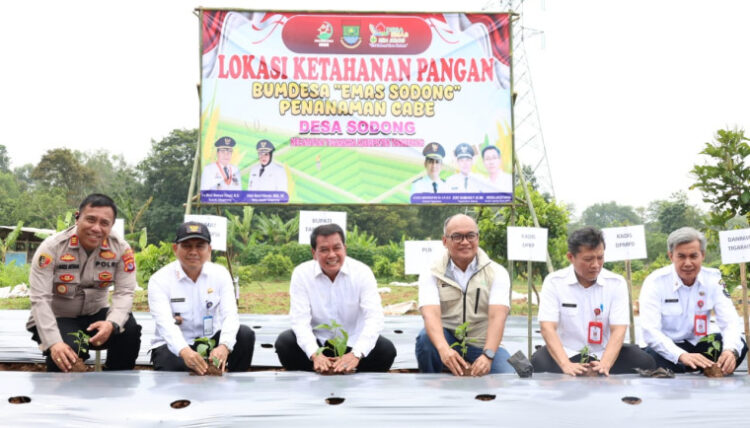 Deretan Penghargaan Nasional Diraih, Pemkot Tangerang Tancap Gas Perkuat SDM ASN Sepanjang 2025