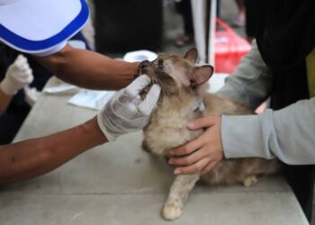 PMI Kota Tangerang Salurkan Donasi untuk Korban Bencana di Sumatera dan Aceh