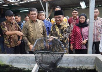 KUTIL Cimone: Bukti Ketahanan Pangan Bisa Tumbuh dari Lingkungan Warga