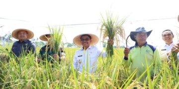 Kota Tangerang Capai Kemajuan di Bidang Ekonomi dan Ketahanan Pangan