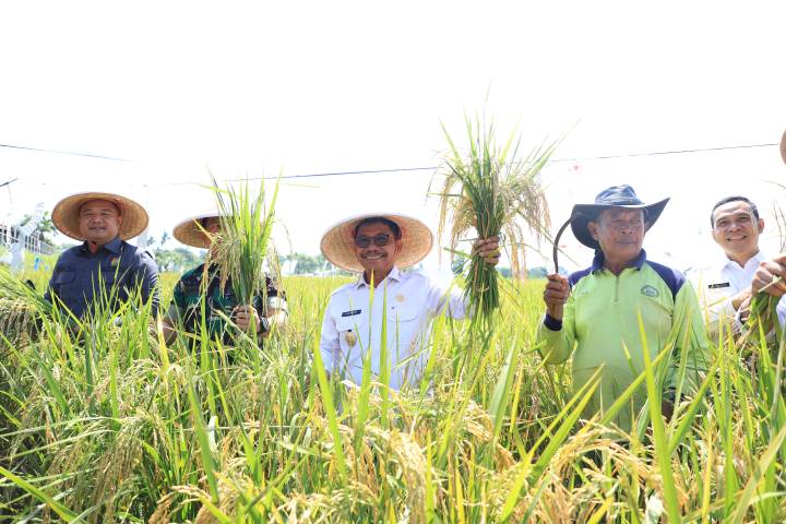 Kota Tangerang Capai Kemajuan di Bidang Ekonomi dan Ketahanan Pangan